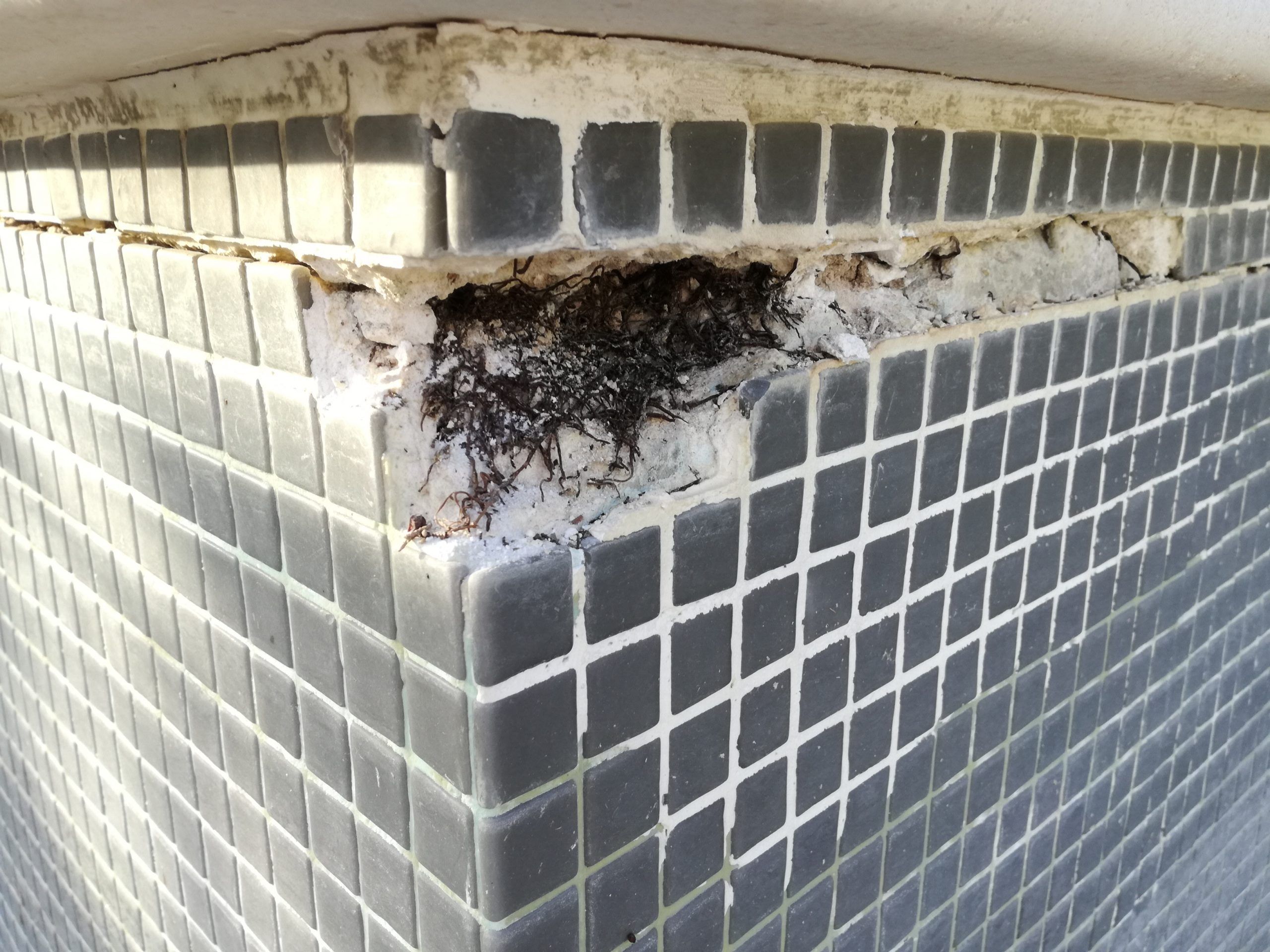 Grieta en pared de piscina con gresite
