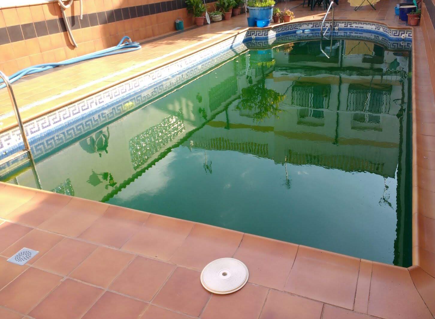 Piscina con el agua verde para recuperar